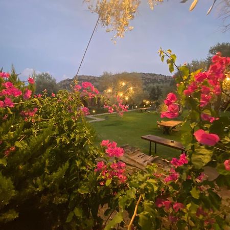 Suzi'Nin Bahcesi Bungalov Evler Datça Buitenkant foto