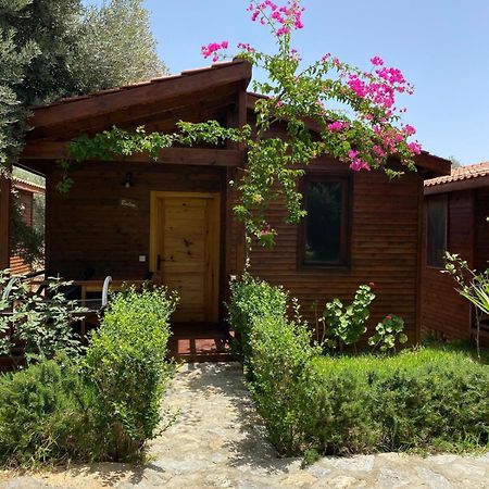 Suzi'Nin Bahcesi Bungalov Evler Datça Buitenkant foto