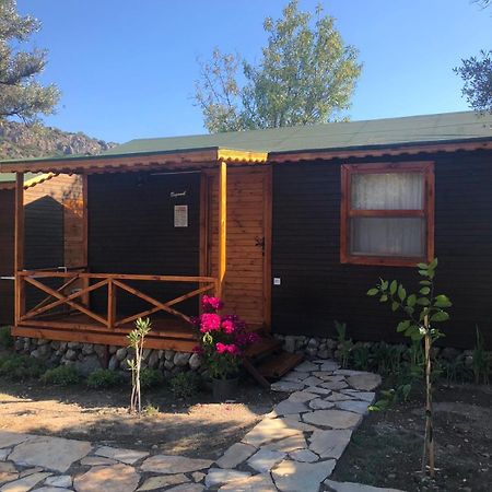 Suzi'Nin Bahcesi Bungalov Evler Datça Buitenkant foto