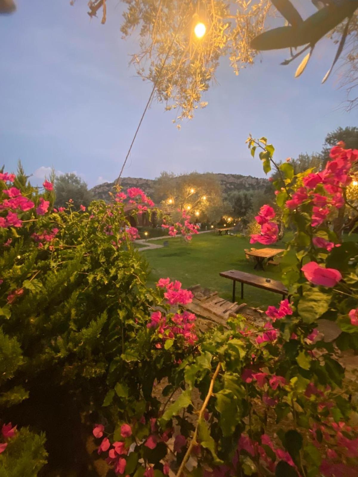 Suzi'Nin Bahcesi Bungalov Evler Datça Buitenkant foto