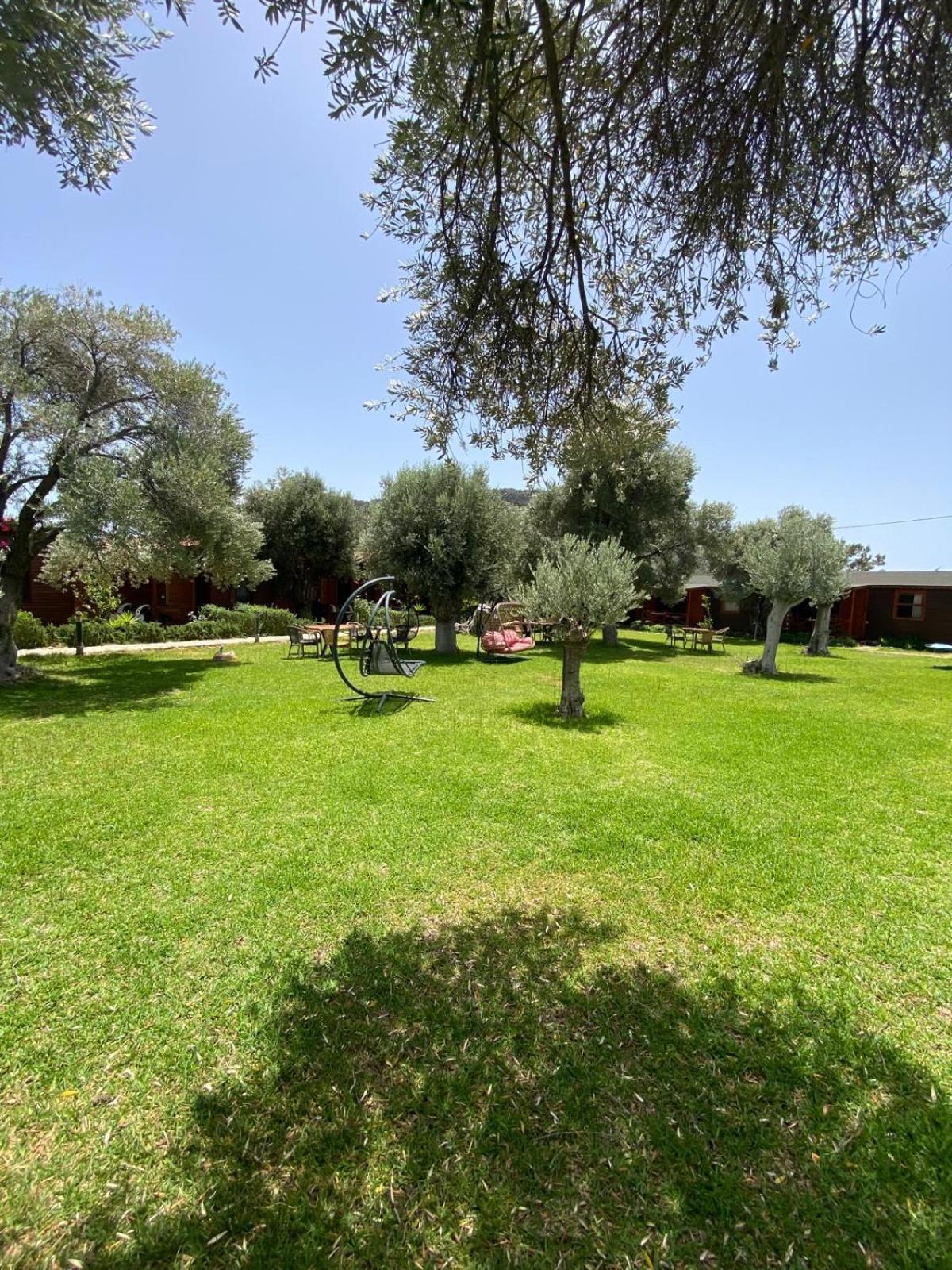 Suzi'Nin Bahcesi Bungalov Evler Datça Buitenkant foto