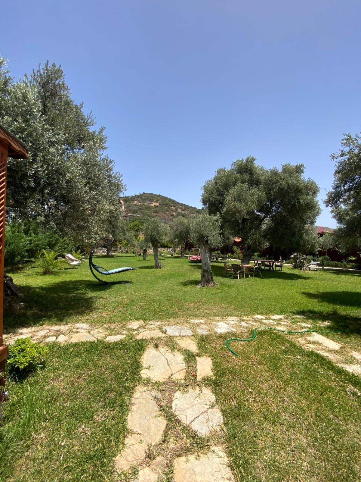 Suzi'Nin Bahcesi Bungalov Evler Datça Buitenkant foto