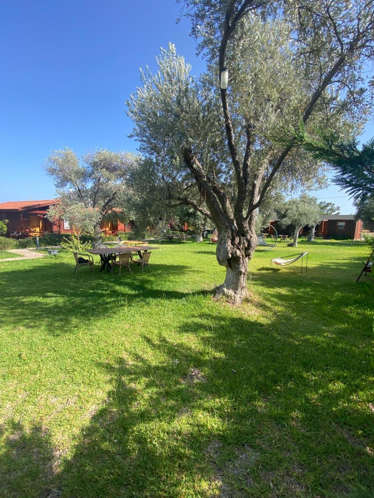 Suzi'Nin Bahcesi Bungalov Evler Datça Buitenkant foto