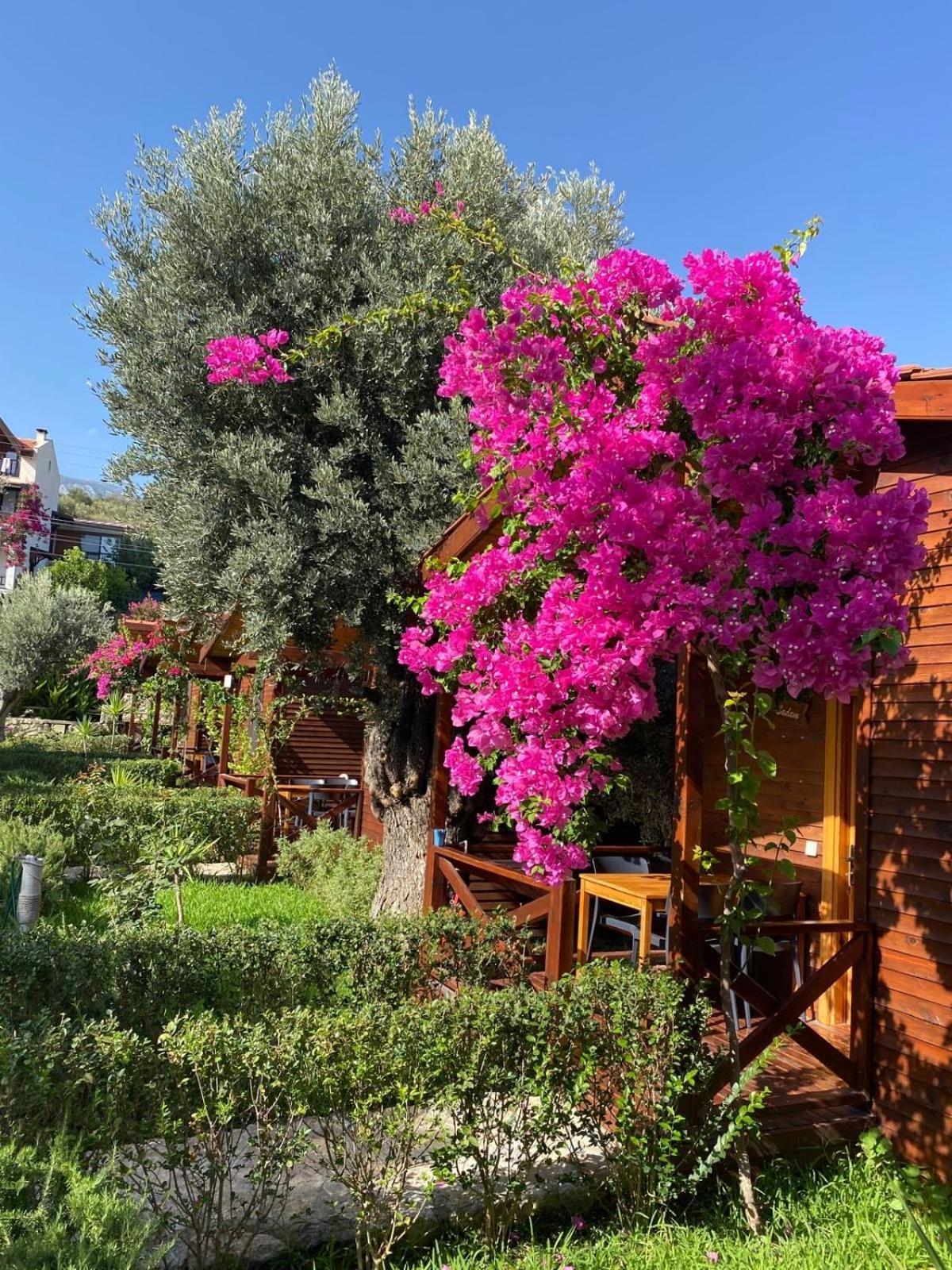 Suzi'Nin Bahcesi Bungalov Evler Datça Buitenkant foto